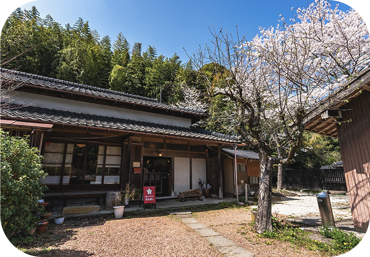 湯の川カフェななほし